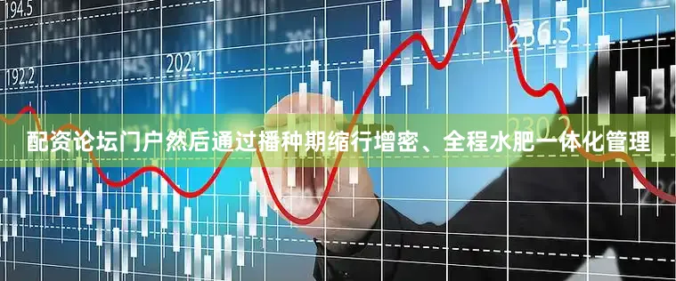 配资论坛门户然后通过播种期缩行增密、全程水肥一体化管理