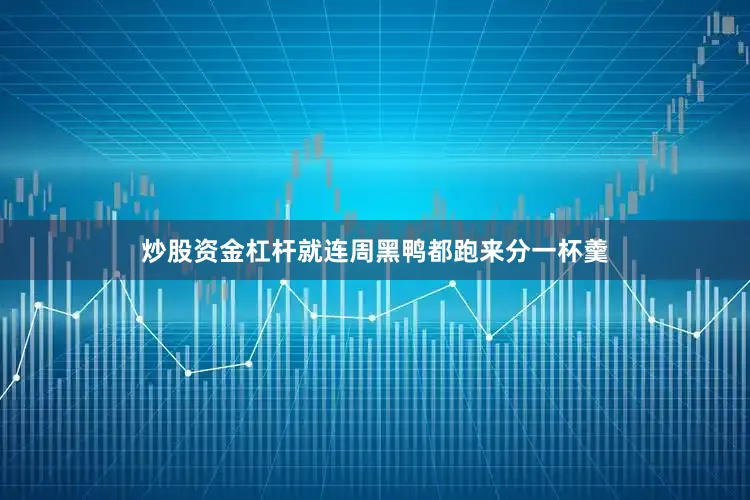 炒股资金杠杆就连周黑鸭都跑来分一杯羹