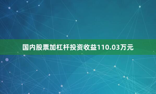 国内股票加杠杆投资收益110.03万元