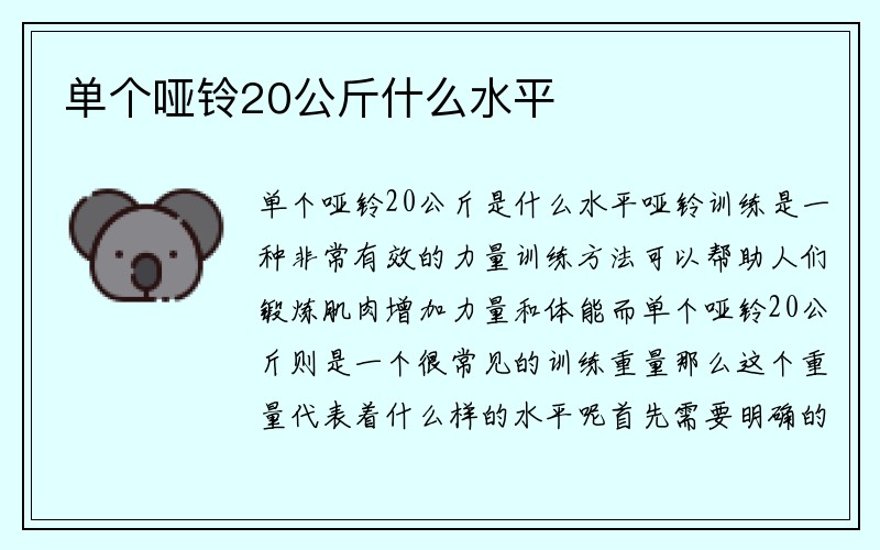 单个哑铃20公斤什么水平