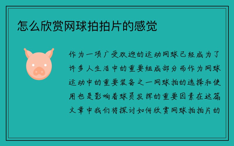 怎么欣赏网球拍拍片的感觉